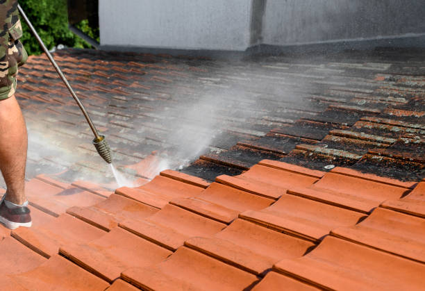 Roof Power Washing Services in Milford, IN